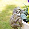 Darthome Set Of 2 Frog Pot Hangers 7x14x6cm Resin Green