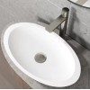 VIGO Vessel Bathroom Sink Pop-Up Drain and Mounting Ring in