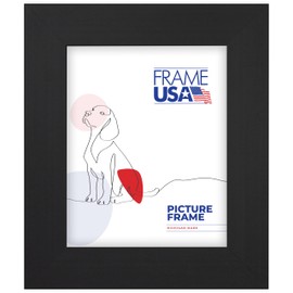 Frame USA 16x20 Picture Frame, Black, Colori Large Series, Wall Hanging Frame with High Clarity Plexiglass
