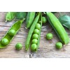 Lincoln Garden Pea Seeds, 50 Heirloom Seeds Per Packet, Non
