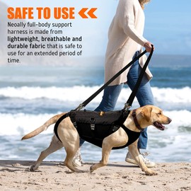5-in-1 Dog Support Harness - Full Body Lift Harness Support Sling Padded Vest Back Brace - Great for Pet Mobility, Hip & Joints, Back Support, Anxiety by Neoally (Medium)
