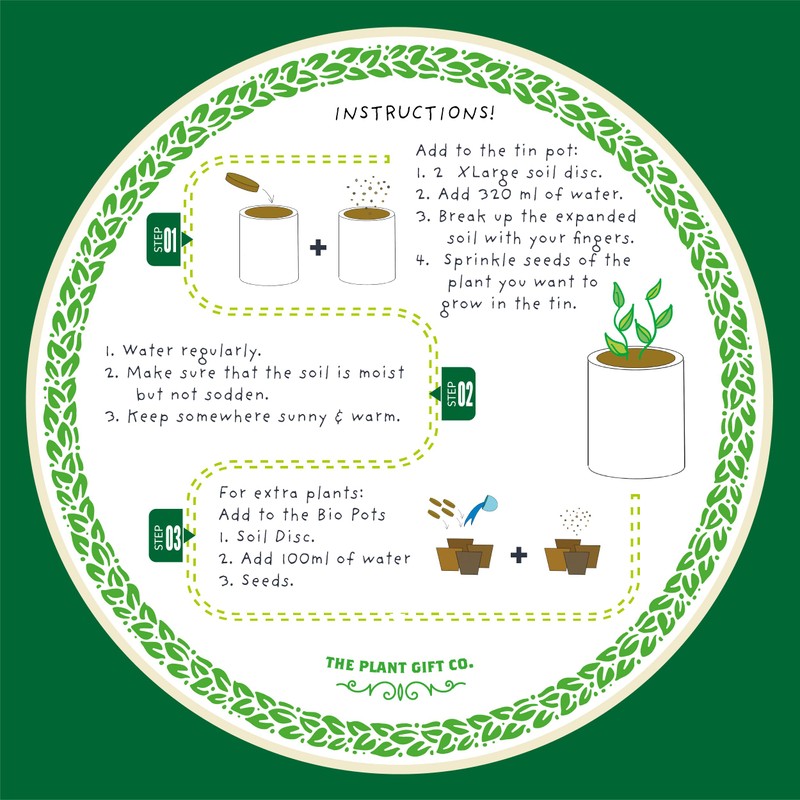 Bee Friendly Flower Luxury Grow Kit, The Plant Gift Co.