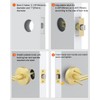 Haidms 2 Pack Gold Door Handles - Brushed Gold Interior
