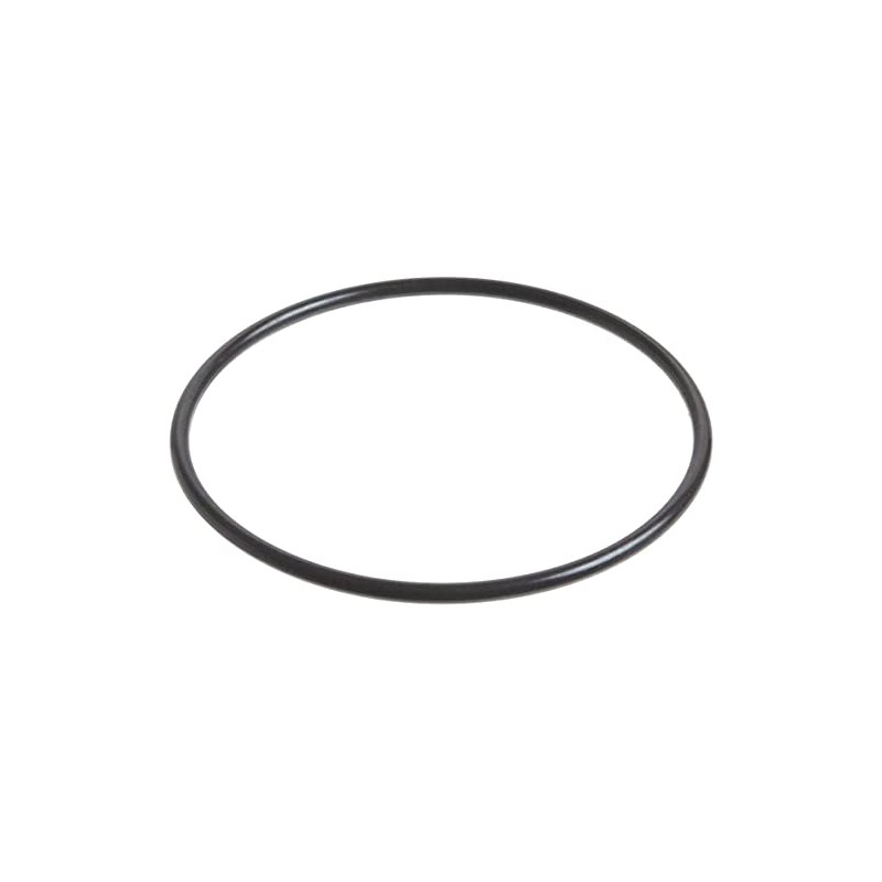 Beaver Island Parts Company Replacement Pool Pump Lid O-Ring Part