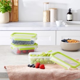 Emsa 515583 Food Clip & Close, Plastic, Transparent / Green, 0.55 liter, Set of 3 boxes