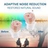 IncenSonic Hearing Aids for Seniors Rechargeable with Noise Cancelling No