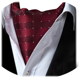 HISDERN Wedding Ascot Tie, Men’s, Silk Ascot Tie, Washable, 20 Colors, Formal Tie, Business, Neckerchief, Collar Width -