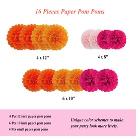 Envibe Pink Orange Party Decorations, Tissue Paper Pom Poms Decorations for Wedding, Baby Shower, Bridal Shower, Graduation and Thanksgiving Party, 36 Pcs Orange Birthday Decorations.
