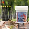 Morning Bird Thrive, Nutritious Energy Supplement with Minerals, Vitamins, Amino