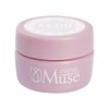 Preanfa PGU-M319 Color Gel Snow Gray 319 0.1 oz (3