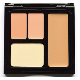 Bobbi Brown Face Touch-Up Palette Natural