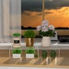 Redrubbit Cabinet Storage Shelf Rack, Expandable Metal Rustproof Kitchen Counter