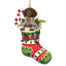German Shorthaired Pointer Christmas Flat Acrylic Ornament – Festive GSP Dog in Stocking, Holiday Tree Decoration for Pet Lovers - Adorable Dog Dressed As A Sock - 2024 German Shorthaired Dog Ornament