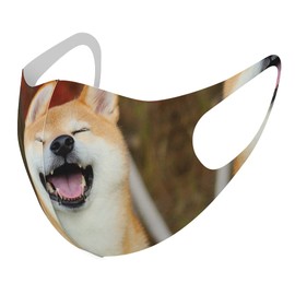 Smakore 015611 Design Mask, Set of 2, Polyester, Washable, Cloth Mask, Unisex, Cute, Shiba Inu