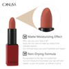CANUSA Infallible Matte Lipstick, Infallible Matte Resistance, Long Lasting up