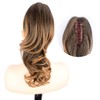 DIGUAN 13 Inches Ombre Claw Clip In Wavy Loose curly