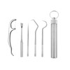 Stainless Steel Toothpick Set with Holder - Portable Teeth Cleaning