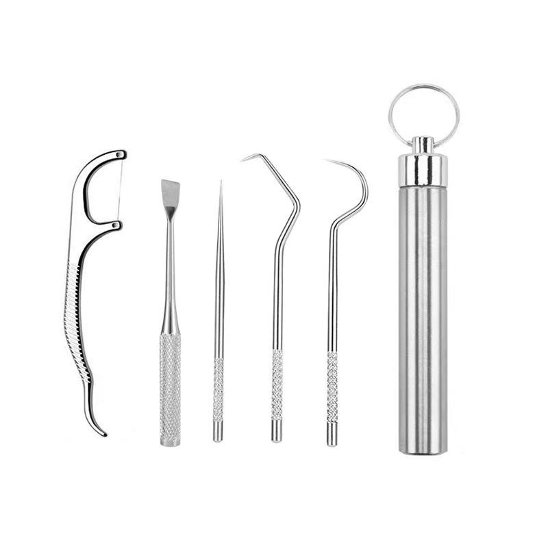 Stainless Steel Toothpick Set with Holder - Portable Teeth Cleaning