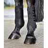 Gamaschen DRESSAGE-PRO, XL, schwarz
