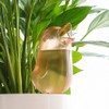 Cute Bird Plant Watering Spikes Self Watering Spikes Automatic Plant