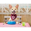 YHTWIN Funny Cute Red Plaid Cotton Triangle Pet Dog Bandanas,