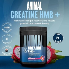 Animal Creatine HMB Powder – 5g Creatine + 3g myHMB with Electrolytes for Lean M