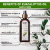 ICAN LONDON 100% Pure and Natural Eucalyptus Oil for Hair,
