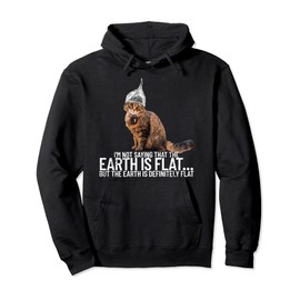 Conspiracy Cat Flat Earther Conspiracy Theory Tin Foil Hat Pullover Hoodie