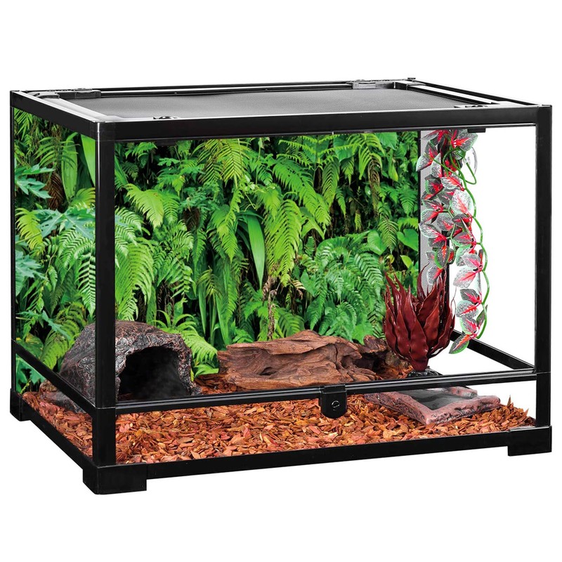 AWERT 60x24 inches Tropical Terrarium Background Tropical Plants Leaves Aquarium