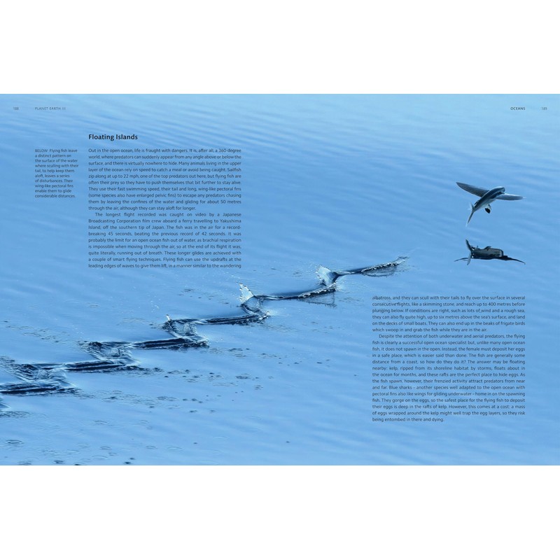 Planet Earth III (Planet Earth, 3)