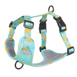 AIHIKONG Dog Harness with 2 Metal Leash Hooks, Reflective Adjustable Vest, Breathable Mesh Soft Padded Pet Vest with Fruit Print, for Small, Medium, and Large Breed Puppies (Lake Blue, XL)