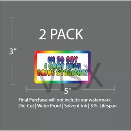VISX I'm SO GAY I can't even drive straight Bumper Sticker Vinyl DieCut Prank Funny