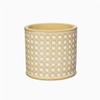 Sass & Belle Rattan Weave Concrete Planter