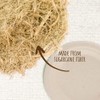 Pack of 100 Super Rigid Paper Plates, 100% Biodegradable and