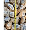 8+ POUNDS Central Texas “Edwards Plateau”Chert/