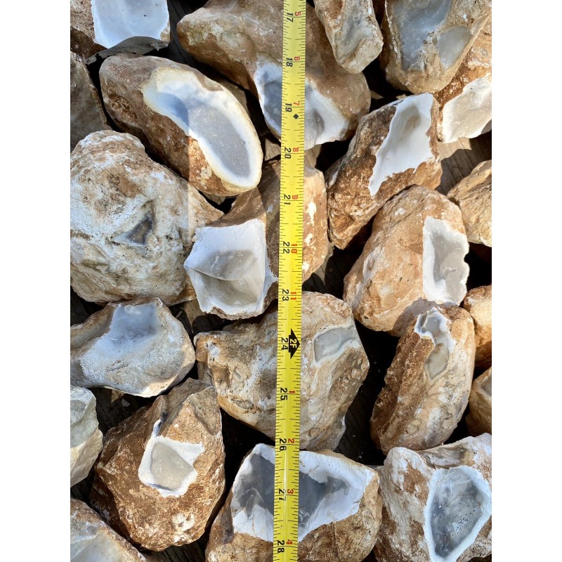 8+ POUNDS Central Texas “Edwards Plateau”Chert/