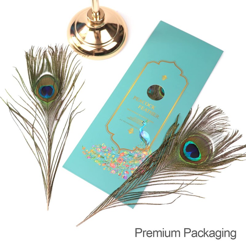 12pcs Beautiful Natural Peacock Feathers 25-30cm for DIY Wedding Holiday