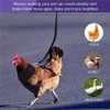 Chicken Harness, Chicken Harness, Duck Harness with Lead, Adjustable Breathable
