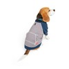 Reddy Grey French Terry Dog Crew, Small