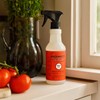 MRS. MEYER'S CLEAN DAY Multi-Surface Everyday Cleaner, Tomato Vine Scent,