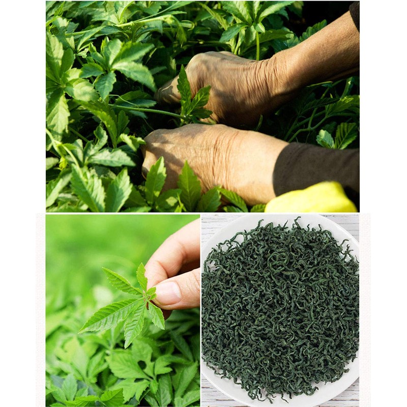 TooGet Wild Jiaogulan Loose Leaf Tea, Premium Gynostemma Pentaphyllum Herbs,