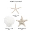 TaoQ C 15 PCS Starfish and Scallop Shells, 5cm-10cm Natural