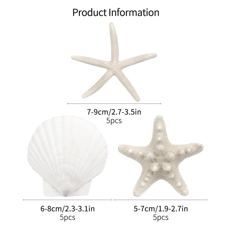 TaoQ C 15 PCS Starfish and Scallop Shells, 5cm-10cm Natural