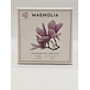 Alchimia Magnolia 1 Box of 3 Soaps 150g