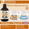 Petastical Pumpkin Powder for Dogs & Cats, 100% Natural Fibre