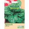 Spinach Seeds America by Country Value