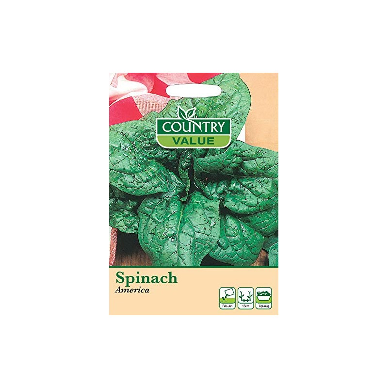 Spinach Seeds America by Country Value