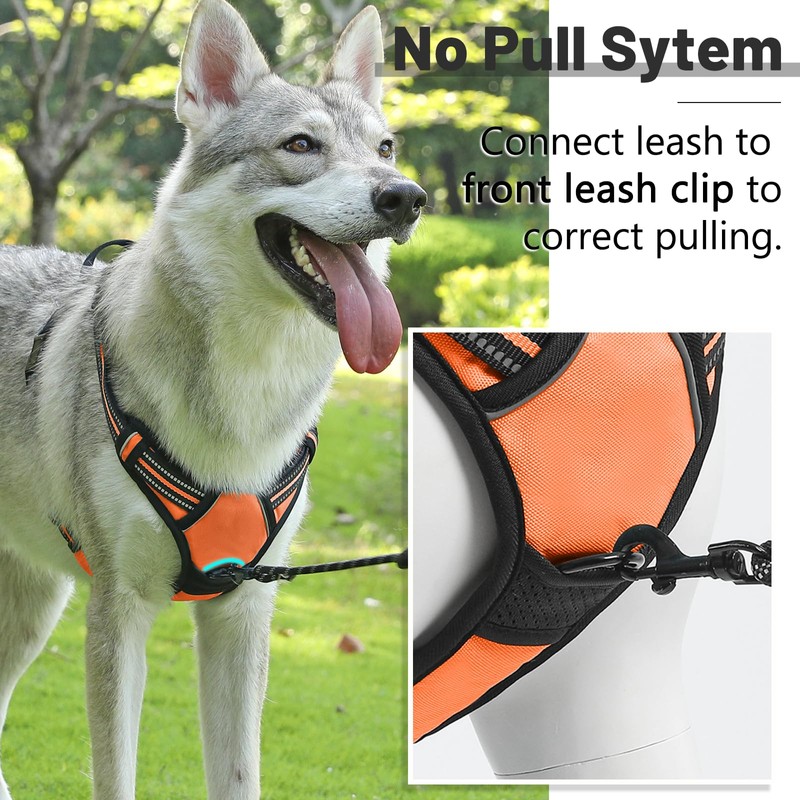 Belababy Dog Harness Small Medium Large No Pull, Adjustable Reflective