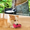 Petper Cw-0095EU Squeaky Latex Dog Toy, Interactive Toy Bone for