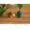 reputexisumagu ho-ndohuroggu Horns (Frog) Green, X 7 X/5.5 cm